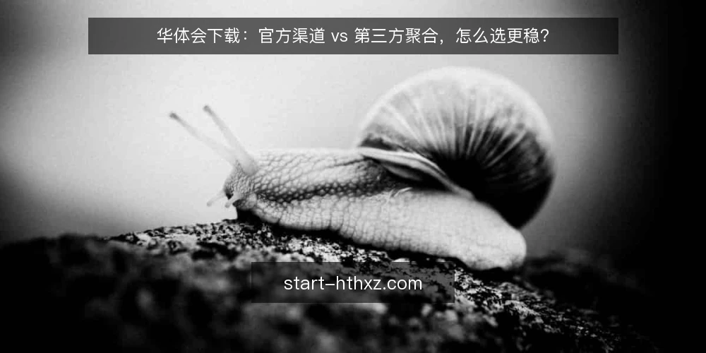 华体会下载:官方渠道 vs 第三方聚合,怎么选更稳? — 为什么现在要做一次获取渠道审计 配图